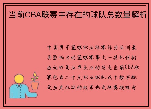 当前CBA联赛中存在的球队总数量解析